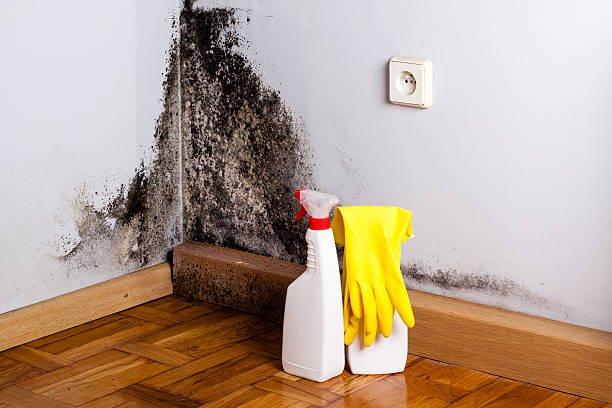 Best Crawl Space Mold Removal  in Pinehurst, NC